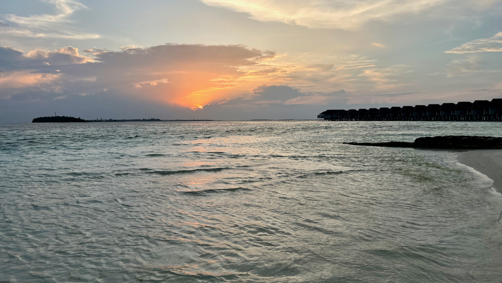 IMG_0723.jpeg IMG_0723.jpeg