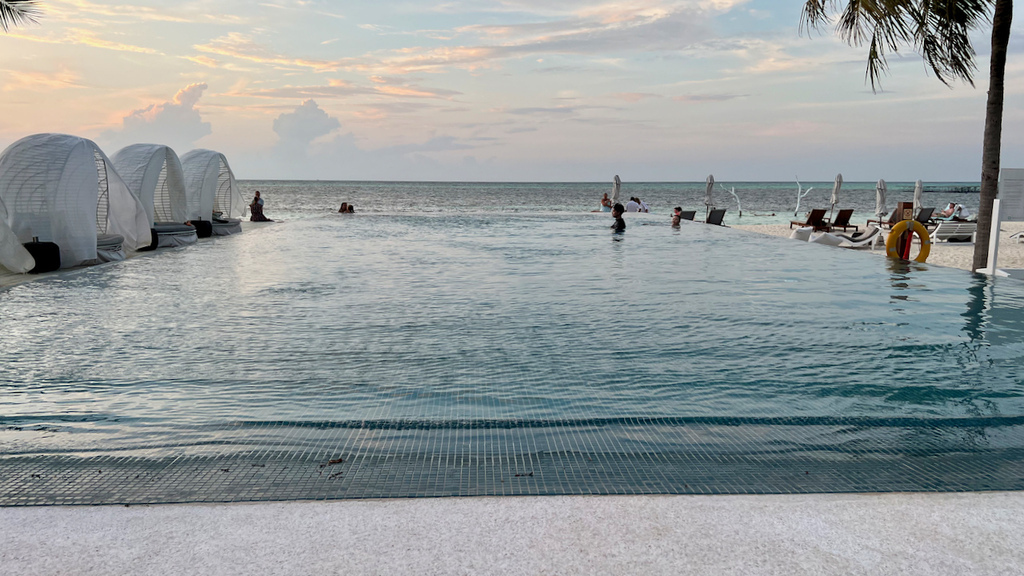 IMG_0734.jpeg IMG_0734.jpeg