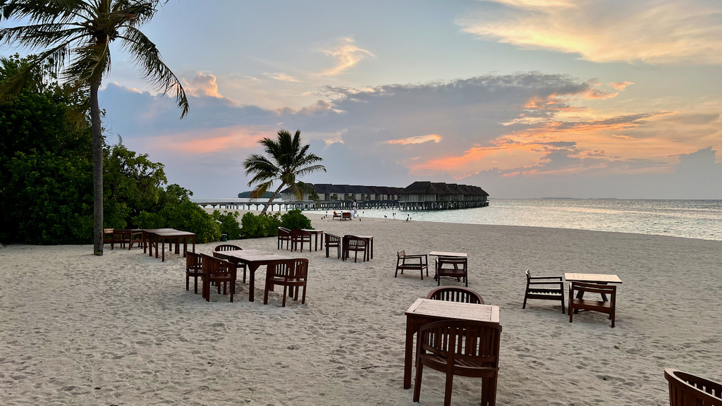 IMG_0737.jpeg IMG_0737.jpeg