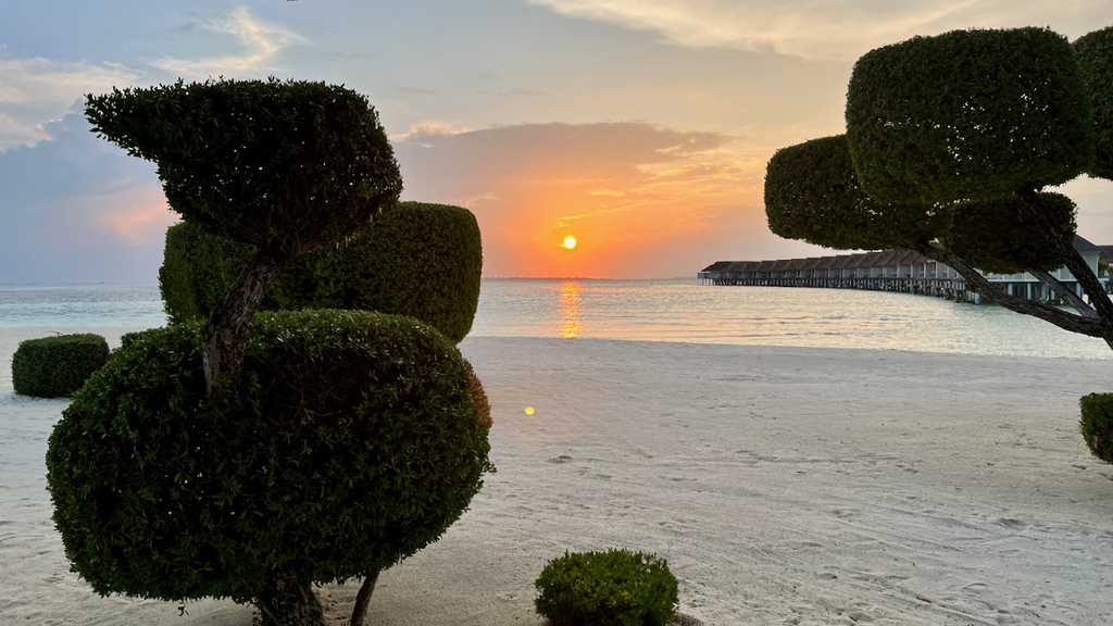 IMG_0706.jpeg IMG_0706.jpeg