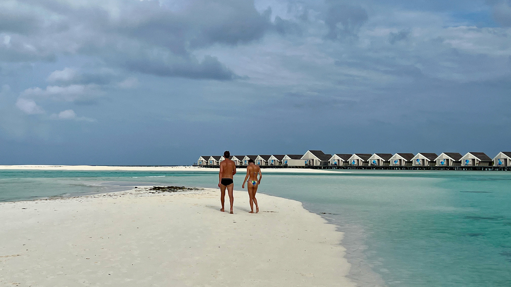 IMG_1006.jpeg IMG_1006.jpeg