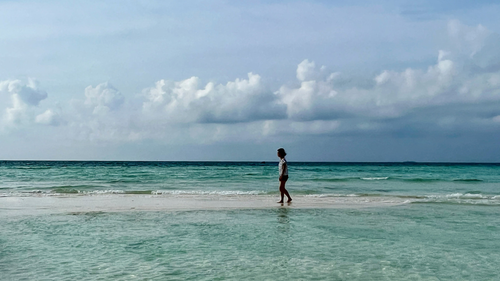 IMG_1029.jpeg IMG_1029.jpeg