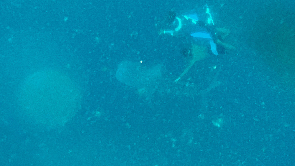 2022馬爾地夫之旅第六天(上)與鯨鯊共游 2022馬爾地夫之旅第六天(上)與鯨鯊共游