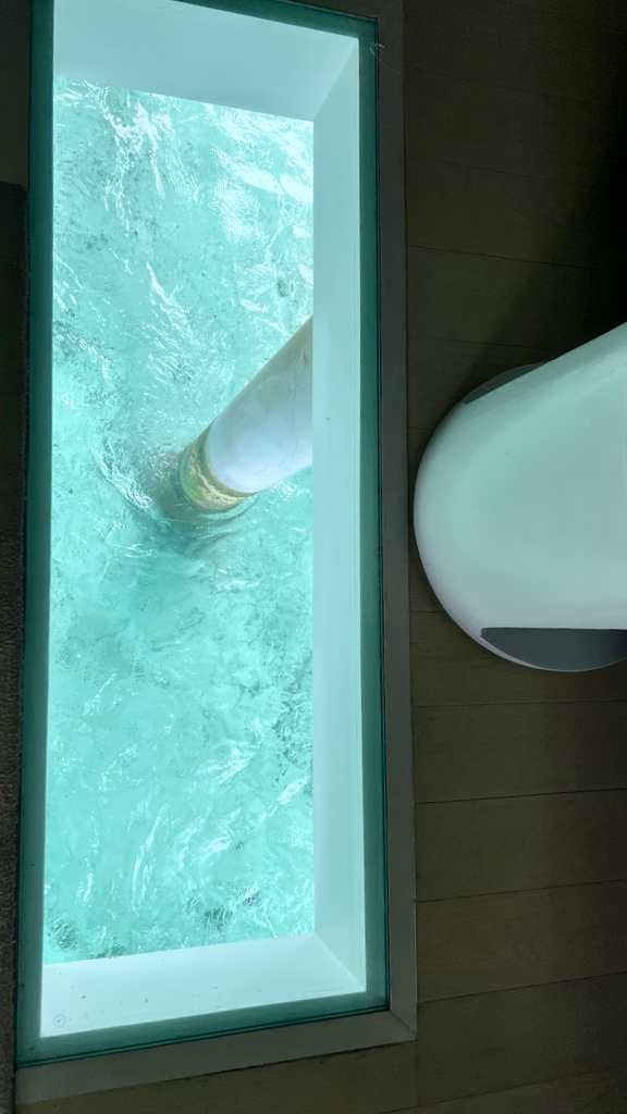 2022馬爾地夫之旅第六天(下)LUX*水上屋 2022馬爾地夫之旅第六天(下)LUX*水上屋