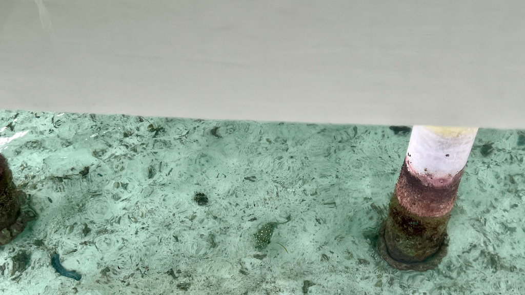 2022馬爾地夫之旅第六天(下)LUX*水上屋 2022馬爾地夫之旅第六天(下)LUX*水上屋