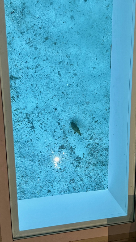 2022馬爾地夫之旅第六天(下)LUX*水上屋 2022馬爾地夫之旅第六天(下)LUX*水上屋