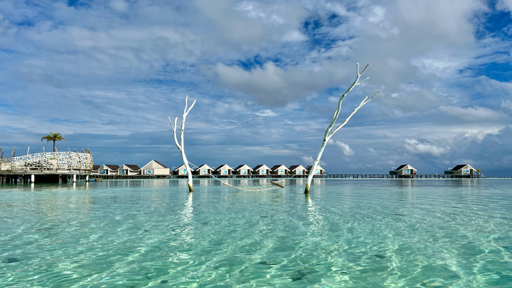 IMG_1405.jpeg IMG_1405.jpeg