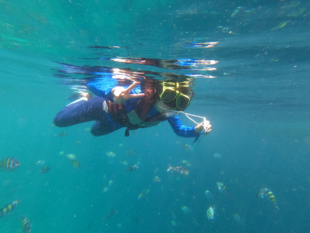 GOPR9100.jpeg GOPR9100.jpeg