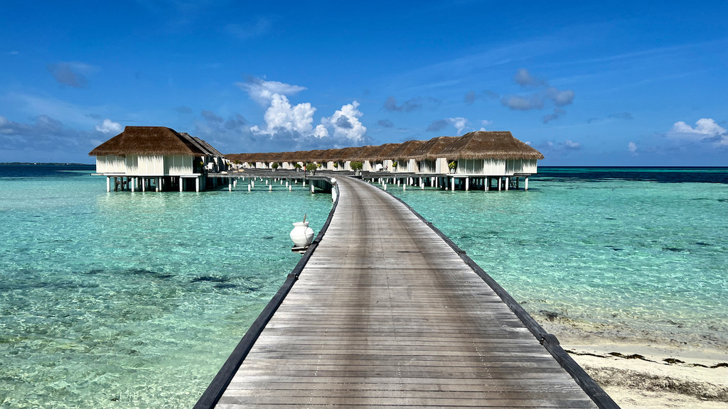 IMG_1781.jpeg IMG_1781.jpeg