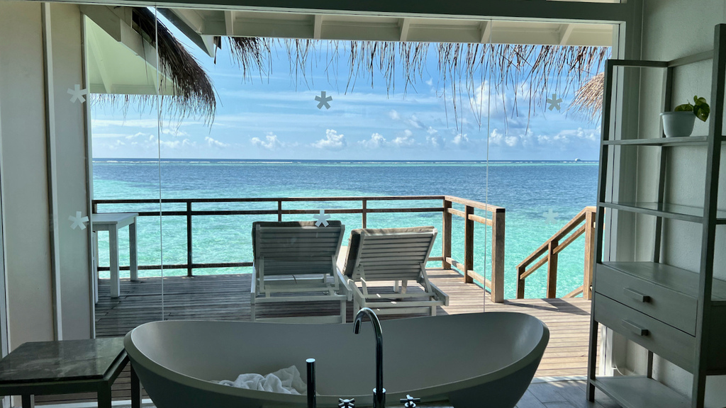 IMG_1800.jpeg IMG_1800.jpeg