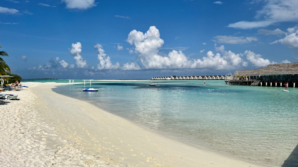 IMG_1905.jpeg IMG_1905.jpeg