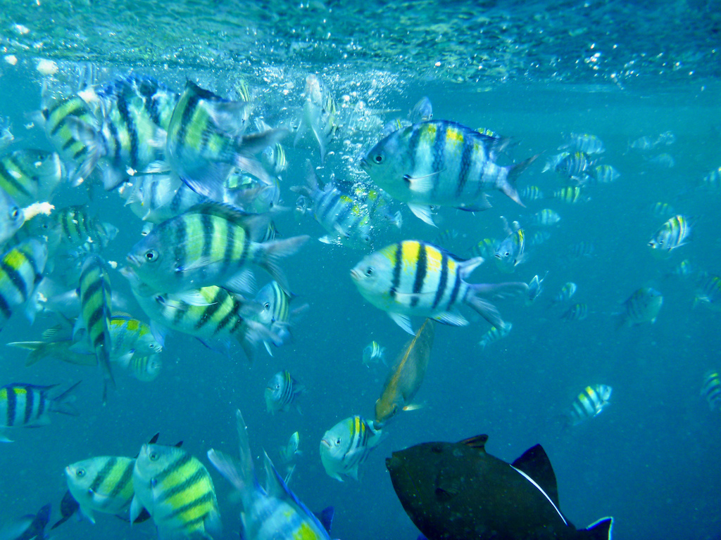 P1060148.jpeg P1060148.jpeg