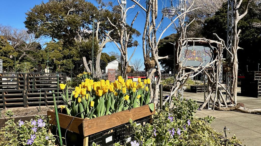 2024 關東冬遊記第二天(一):江之島 2024 關東冬遊記第二天(一):江之島