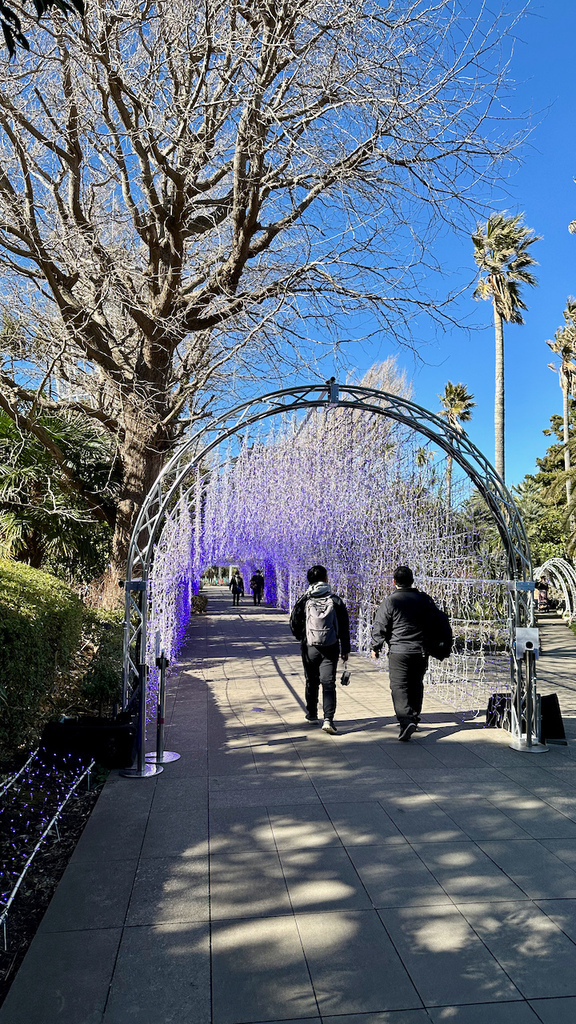 2024 關東冬遊記第二天(一):江之島 2024 關東冬遊記第二天(一):江之島