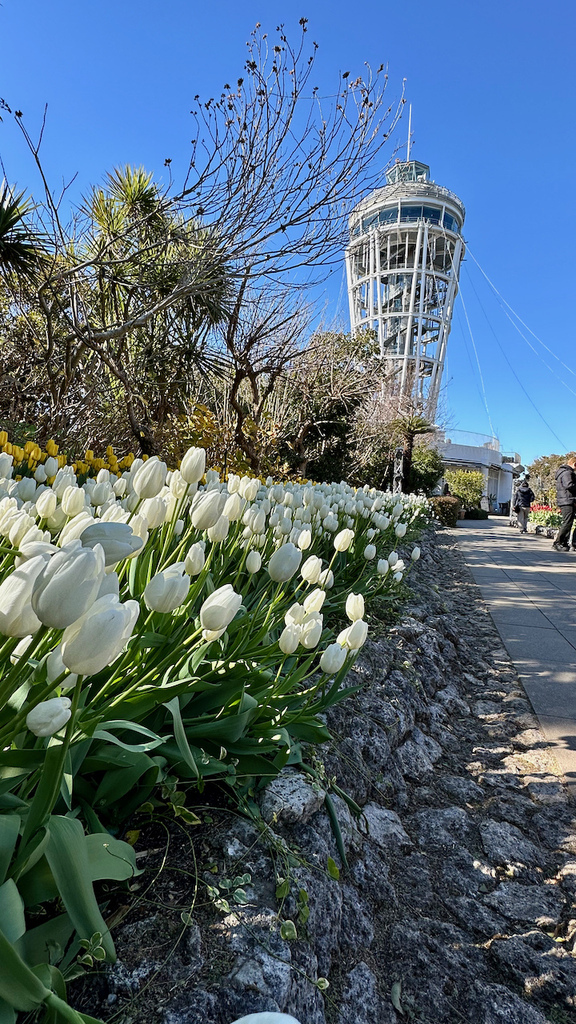 2024 關東冬遊記第二天(一):江之島 2024 關東冬遊記第二天(一):江之島