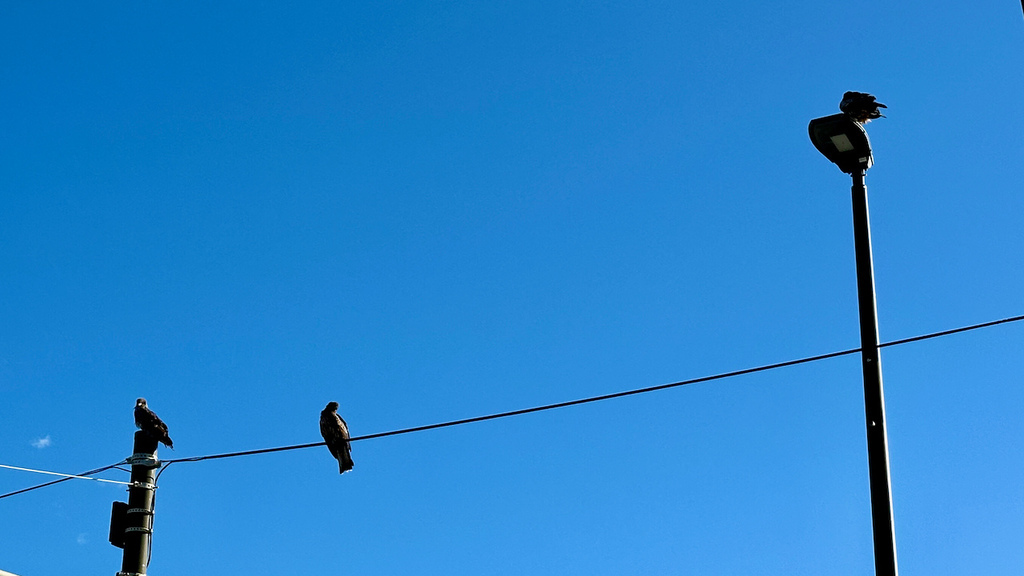 2024 關東冬遊記第二天(二):江之電,灌籃高手平交道,七 2024 關東冬遊記第二天(二):江之電,灌籃高手平交道,七