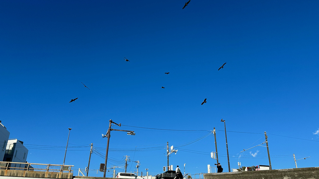 2024 關東冬遊記第二天(二):江之電,灌籃高手平交道,七 2024 關東冬遊記第二天(二):江之電,灌籃高手平交道,七