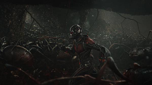 Ant-Man-Running-with-Ant-Army-Marvel-HD-Photo