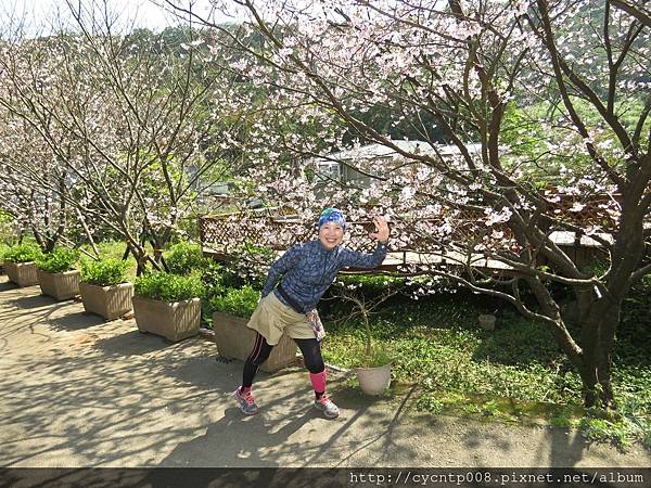 2017年4月3日陽明山坪頂古圳&橘餐廳_170403_0425.jpg