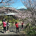 2017年4月3日陽明山坪頂古圳&橘餐廳_170403_0452.jpg