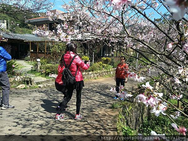 2017年4月3日陽明山坪頂古圳&橘餐廳_170403_0455.jpg