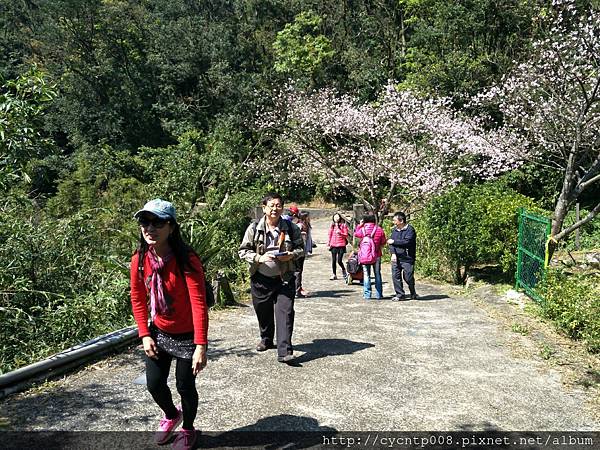 2017年4月3日陽明山坪頂古圳&橘餐廳_170403_0463.jpg