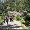 2017年4月3日陽明山坪頂古圳&橘餐廳_170403_0465.jpg