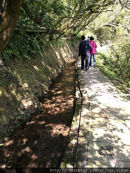 2017年4月3日陽明山坪頂古圳&橘餐廳_170403_0467.jpg