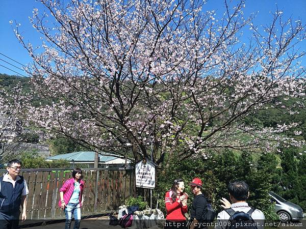 2017年4月3日陽明山坪頂古圳&橘餐廳_170403_0495.jpg