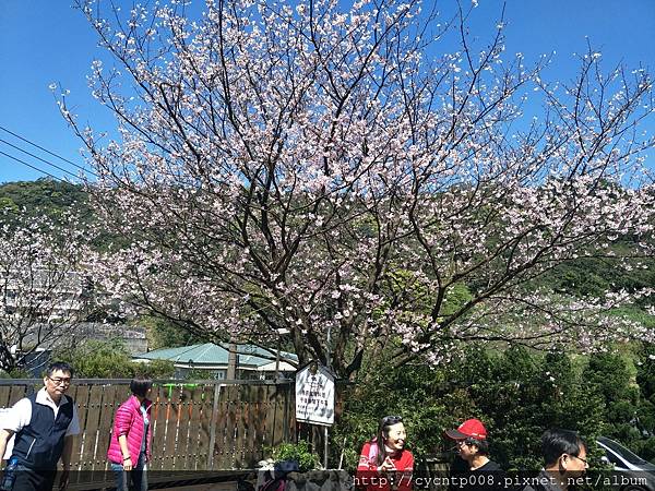 2017年4月3日陽明山坪頂古圳&橘餐廳_170403_0496.jpg