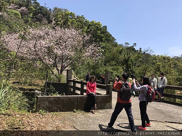 2017年4月3日陽明山坪頂古圳&橘餐廳_170403_0528.jpg