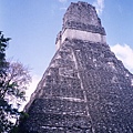 1998瓜地馬拉馬雅遺跡Tikal