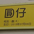 0413高鐵圓夢列車，腦麻小天使圓夢之旅_170413_0066_0.jpg