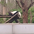 0413高鐵圓夢列車，腦麻小天使圓夢之旅_170413_0072_0.jpg