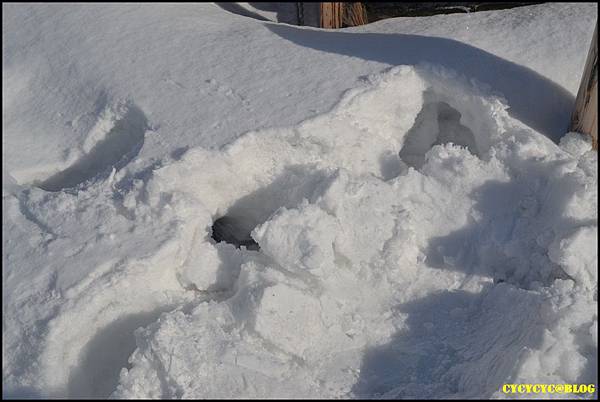 09而且某幾處積雪很厚，看看我陷落處.JPG