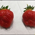 160303第二次採收的草莓