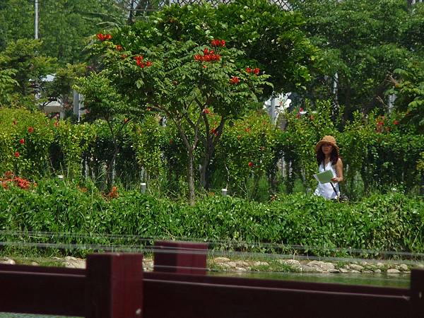 P1080324.JPG P1080324.JPG