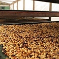 costa rica finca la guaca.jpg