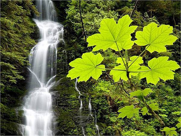 山明水秀-12-.jpg 山明水秀-12-.jpg
