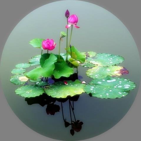 我的照片 (10).jpg 我的照片 (10).jpg