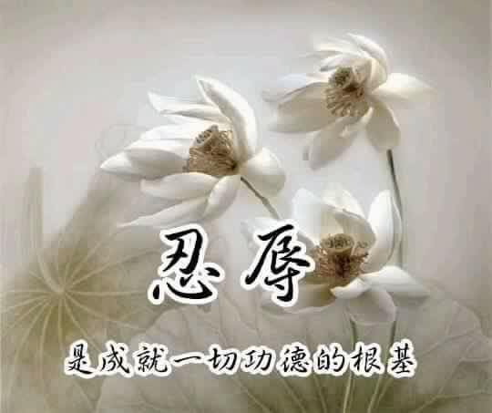 忍辱.jpg 忍辱.jpg