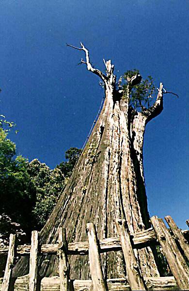 風光明媚 (109).JPG 風光明媚 (109).JPG