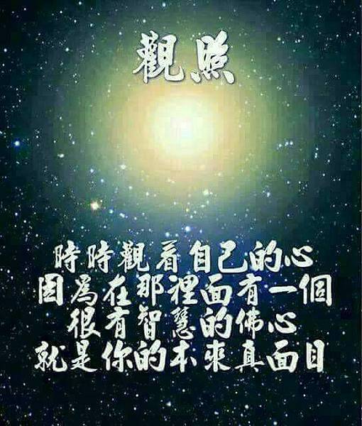 觀照.jpg 觀照.jpg