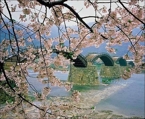 ~日本美景~10.jpg ~日本美景~10.jpg