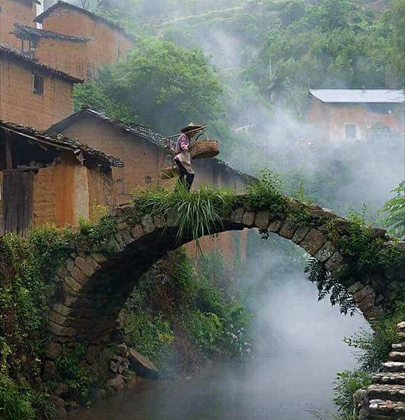 清晨美景-1-.jpg 清晨美景-1-.jpg