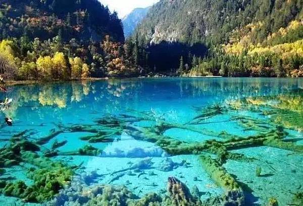 九寨溝景-6-.jpg 九寨溝景-6-.jpg
