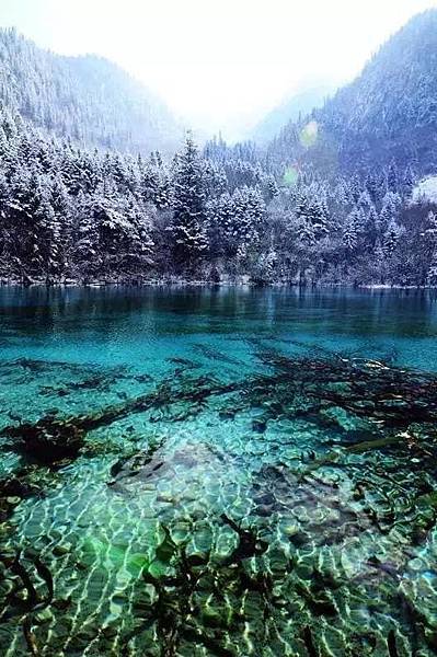 九寨溝景-8-.jpg 九寨溝景-8-.jpg