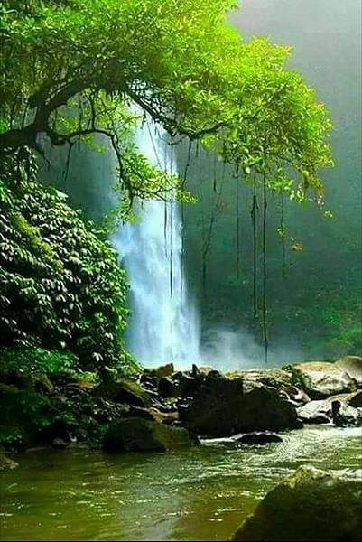 欣赏美景-3-.jpg 欣赏美景-3-.jpg