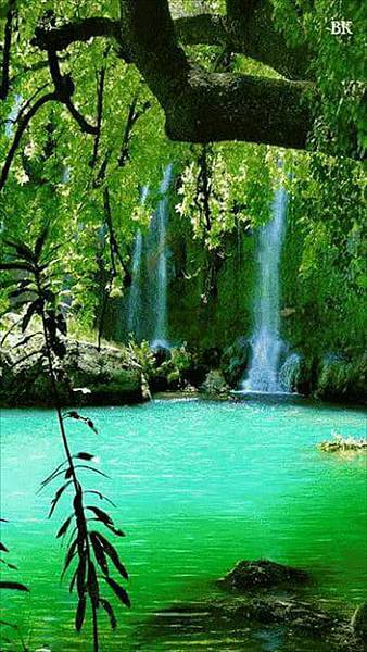 欣赏美景-4-.jpg 欣赏美景-4-.jpg