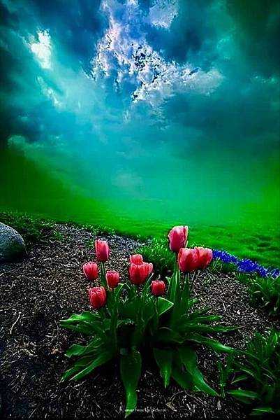 欣赏美景-5-.jpg 欣赏美景-5-.jpg